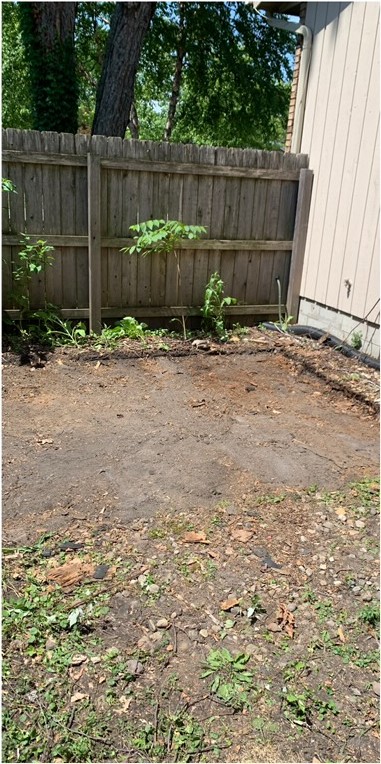 Cleared corner of the yard after removal