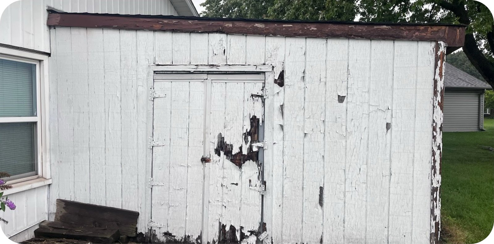 Rotting backyard shed before Junk Toro removed it